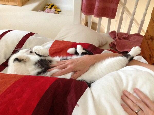 Having my weekly massage.....