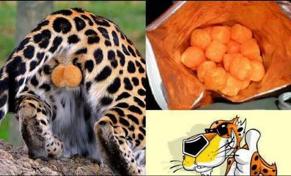 KevinLcrossley's tweet photo. Hmm... Makes you wonder. http://t.co/ixKECfnAXJ