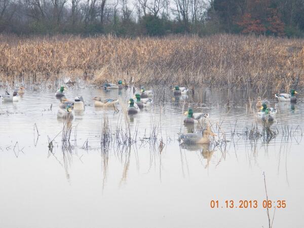 talleybottoms2's tweet photo. A little view from the office http://t.co/oWuHDDgMQU