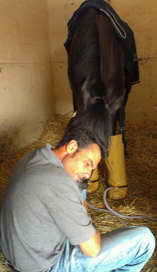 ChevauxRapides's tweet photo. @HorseJeff spending quality time with @SB4Vols's Soi Phet this morning. http://t.co/iUoV0W17Tm
