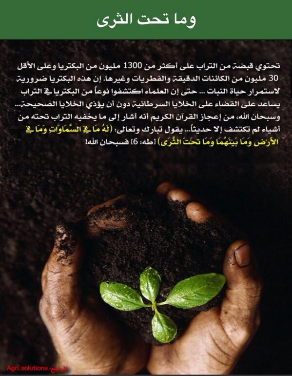 Al6ale7 tweet picture