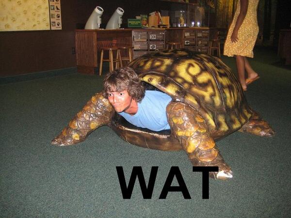 BioLayne's tweet photo. @EdLabrecque @NPCAmandaNicole FUUUUUUUUUUUUUUUUUUUUUUUUUUUUUUUUUUUUUUUUUUUUUUUUUUUUUUUUUUU http://t.co/KWZXVXiiCG