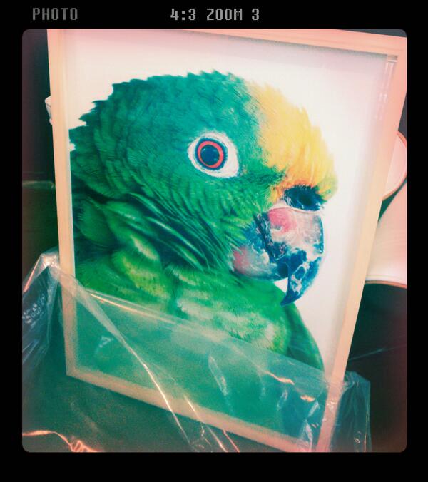 Union3's tweet image. Bird's eye view #ClintonFriedman #justunpacked #union3