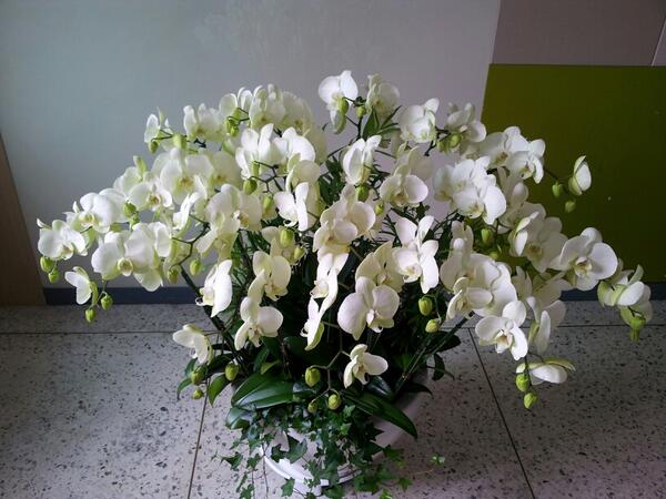 wons0331 tweet picture