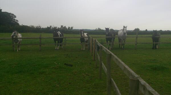 BurrowsF's tweet image. We want to come in tooooooo