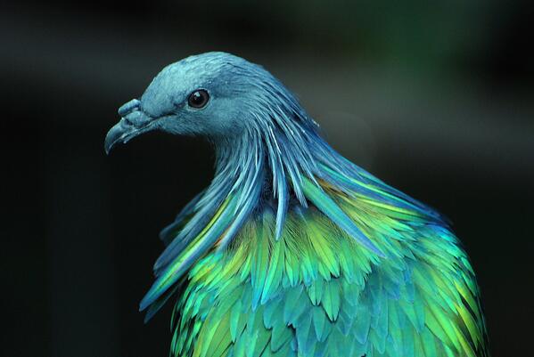 Northboundndown's tweet photo. Inspiring travel photography at http://t.co/OpKWU5mwh8 http://t.co/VyXMD2zxlC