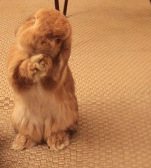 The Lodge tweet media