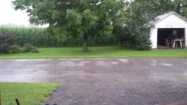 valleyfarmboy's tweet image. @Milkabot @JohnStraathof sitting outside watching the rain while having breakfast. plotting #longmemory