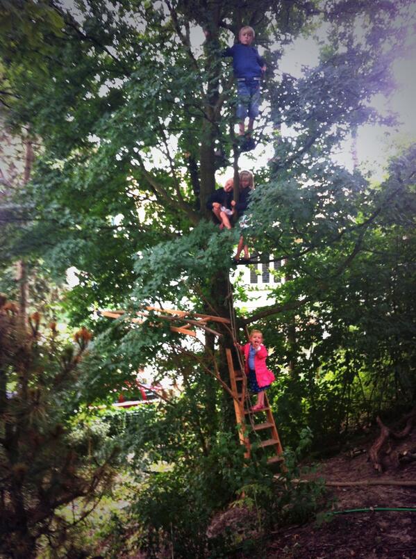 Bomen zijn ook om in te klimmen #oerrr 2013 @Natuurmonument