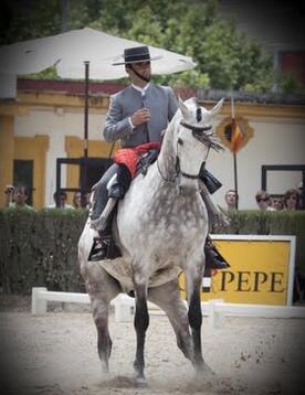 "Un caballo triunfa cuando se le ha enseñado el camino para ello"