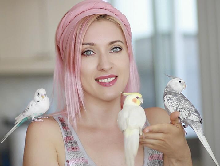 Lilith Moon on Twitter: "Meet my lovely birds and check ...