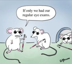 1800AnyLens's tweet photo. How cute &amp; funny is this! Happy Thursday Twitter! http://t.co/CgXyOAfC4T