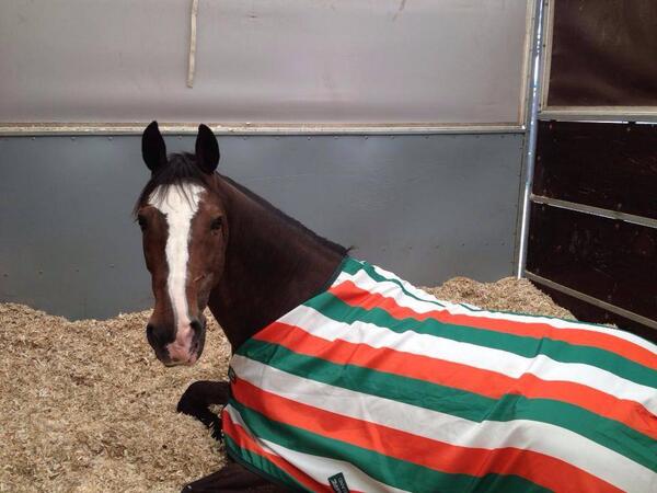 Very smart stripy pyjamas... <a href="/ParaEqIrl/">Para Equestrian Ire</a> @TeamIRLEq