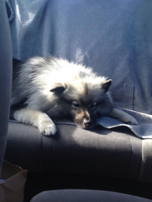 GayTed's tweet photo. What a day.  #Pooped http://t.co/NN2huntKjK