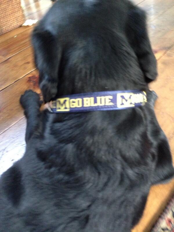 oldsbill's tweet photo. We're getting ready for the season to start. Go BLUE! http://t.co/WWlSNc1bM1