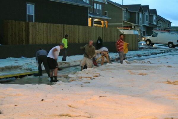 View image on Twitter