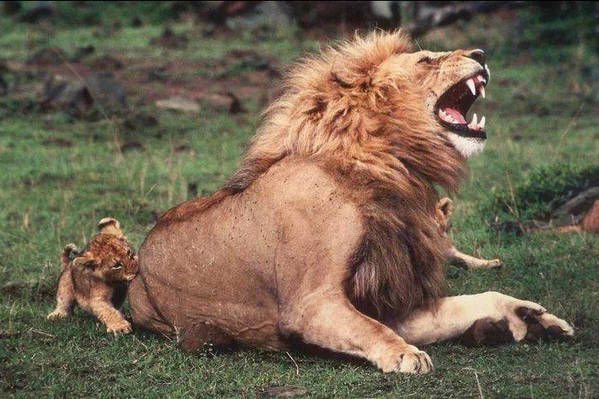 AmazingEarthPic's tweet photo. RT if your kid's a pain, but you love em anyway! #ProblemChild #TimeOut #SitDown #StopRunning #GiveMeThatBack lol http://t.co/UdwsqwSZYj