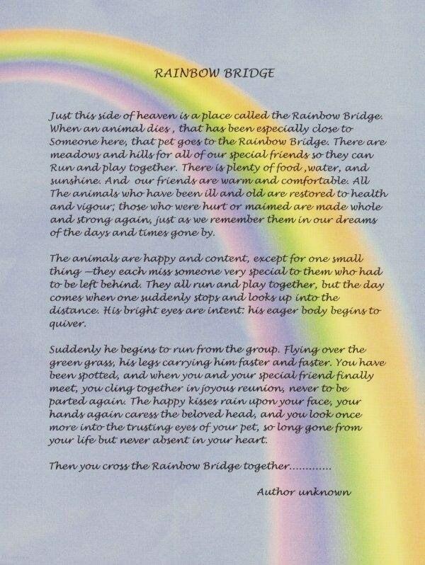 PALSINC's tweet image. #rainbowbridge #pets #petloss #PALS #memorial