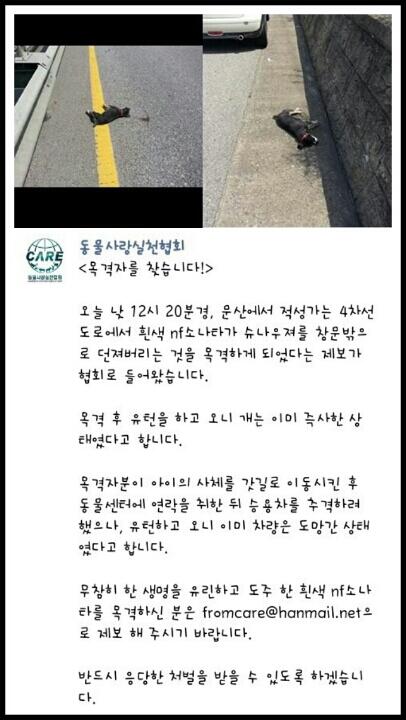 78bisang's tweet photo. 말못하는 짐승에게 저게 말이 되는걸까? 저런 쓰레기도 주인이라고 반갑다 꼬리 흔들었을 아가가 너무 불쌍하다. 꼭 잡히기를! 천벌 받아라! http://t.co/fqKTBevOob