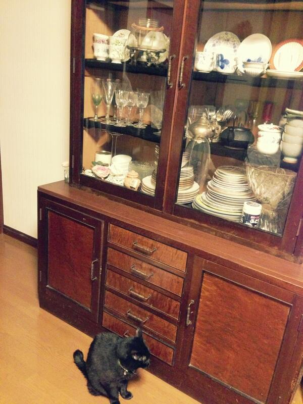 631122's tweet photo. ふたりでお留守番。さみしーねー。 http://t.co/G0N8nF2C5k