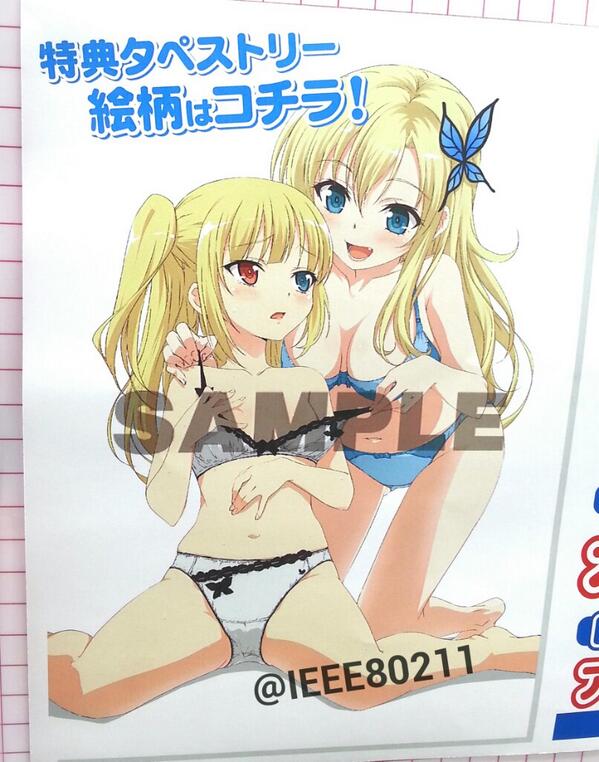 Ieee802 11 Ar Twitter 僕は友達が少ないnextソフマップ全巻購入特典タペストリーイラスト 下着姿の肉 煌 Http T Co Qkvvuya3wz