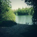 Photo by Infusion Baits (@InfusionBaits)