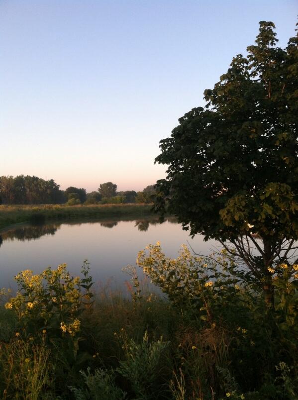 tammyhelfrich's tweet image. This is what I enjoy on my morning walks. #startexp #getmoving