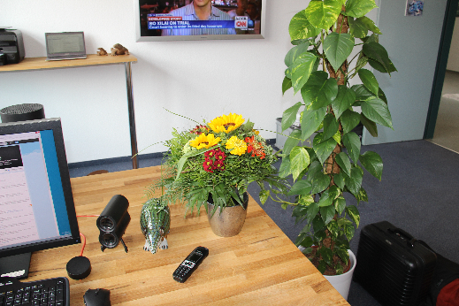 unaxus's tweet photo. @ricardo_ch Danke für die Blumen :) http://t.co/nfgxrjOZuy