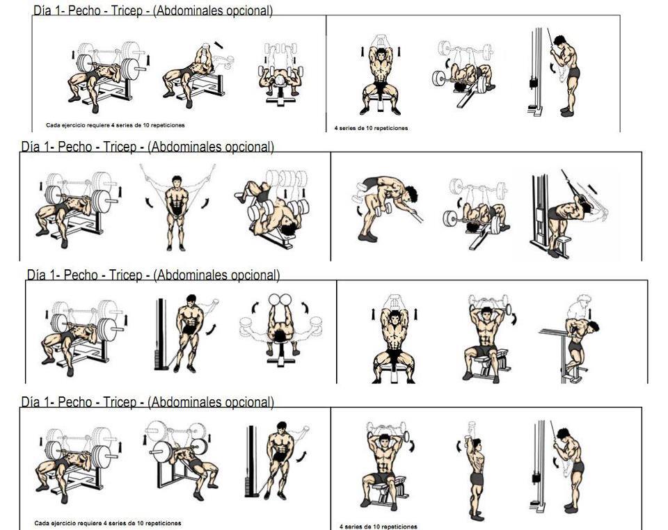 Rutinas4TheGYM on Twitter: Rutinas4TheGYM on Twitter: