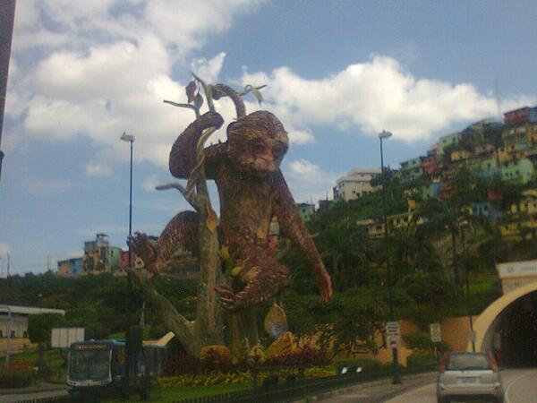 OTRAMSTOURISM's tweet image. #IconodeGuayaquil Mono capuchino o machín blanco en falda del cerro Santa Ana #Guayaquil #Ecuador