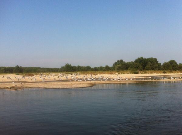 StePallaroni's tweet image. Tra la #Becca e #Spessa , a metà strada #Pavia