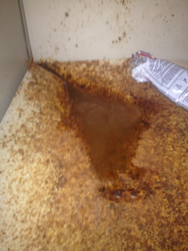 ThatShitCraii's tweet image. @jake_BTG locker though... #PuddleOfSweat