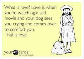 GlobalPetFoods's tweet photo. How do your pets show their love? http://t.co/Y5wpdUZDcR