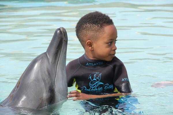 white_consult's tweet image. Eku itoju RT @tonipayne: and Zion got to swim with the dolphin.. #vacation #dubai #funalltheway #bestPictureEver