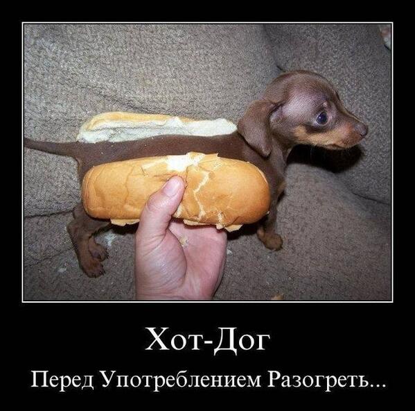 OLYA_Dss's tweet image. ХОТ-ДОГ Вообще милаш)))