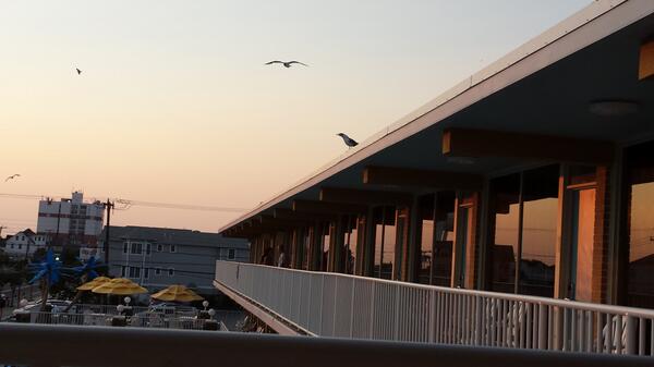 Tony Acker (@tonut21) on Twitter photo 