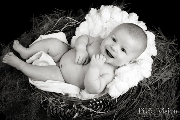 Pixie Vision Photography tweet media