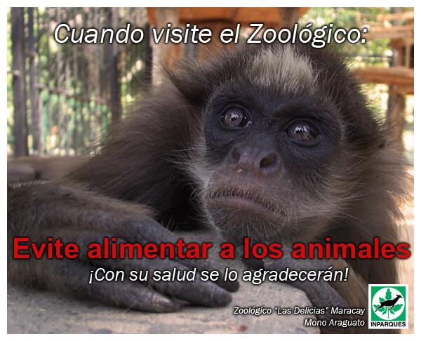 Inparques Aragua tweet media