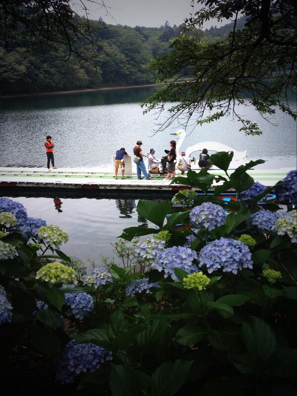24HTV36drama's tweet photo. 富士岡家、思い出の湖での撮影。
梅雨の時期であったため、雨に降られた時もしばしばありましたが、紫陽花が鮮やかに咲いて、湖のシーンをきれ��に演出してくれています！ http://t.co/m4JyGHgRvF