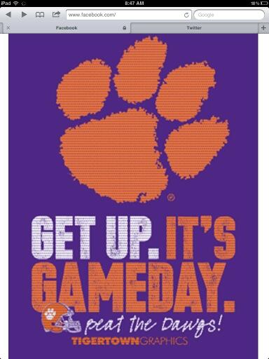 postalgurl's tweet image. Go Tigers!