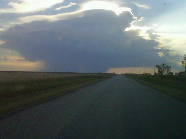 carmanfarmer's tweet image. Off to Southeast Seeds to treat Winter Wheat @JeromyRempel. Nice view #cruisermaxxvibrance