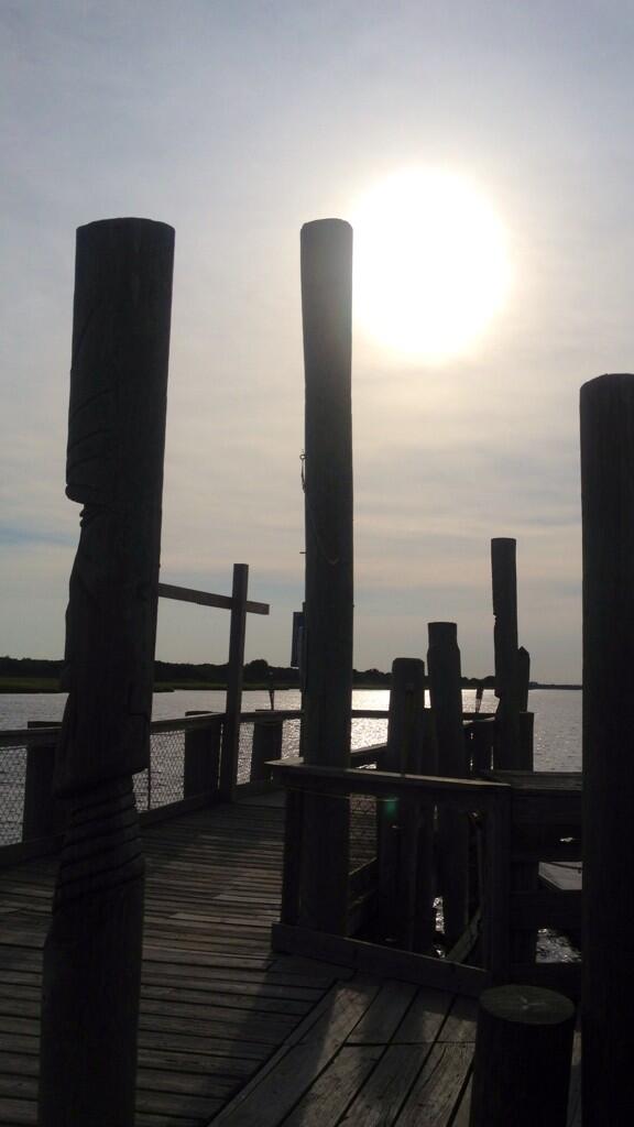 Cathy Foster tweet media