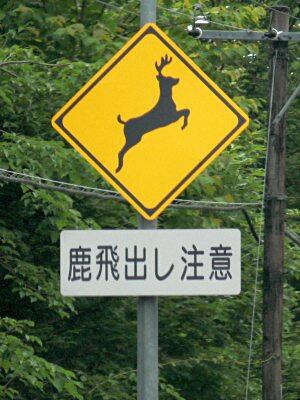 Treasure1 على تويتر Deersvoice 鹿の飛び出しに注意 の看板 Http T Co Stkab6fdd2 鹿 が住む地域では当たり前のように見かけるこの看板が なぜ宮島では設置できない なぜ設置しない Savemiyajimadeer