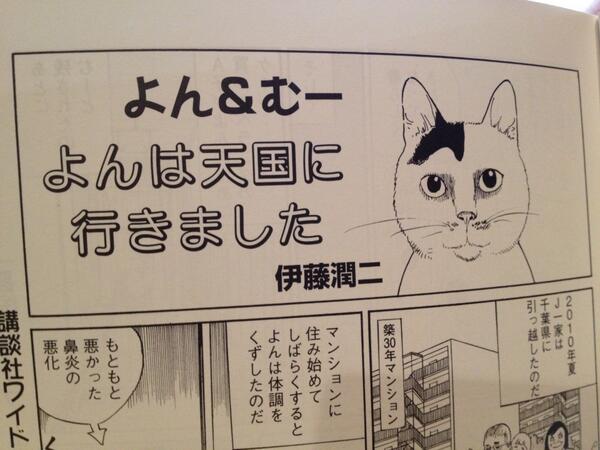 吉田光雄 一部の猫好きに向けた情報 伊藤潤二の猫日記 よん むー の続編が マイケル教えて 被災猫応援の教科書 という本に載ってます Http T Co Nglsg1lxb6