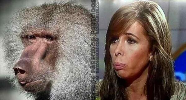 SonParecidos's tweet photo. Alicia Sánchez-Camacho (#PP) y Babuino #MuyParecidos http://t.co/V4SXaD1Zmc