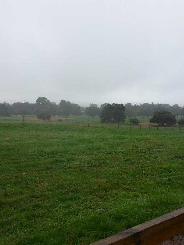 TCatering's tweet image. Nice day for BBQ