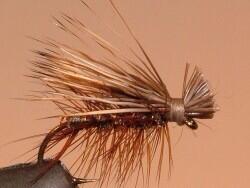 jimfalloon's tweet image. 4 out of 5 Poudre rainbows and browns agree: dark brown size 14 caddis are a tasty bedtime snack this time of year.