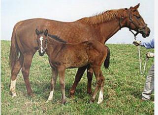 Even back than I was photogenic...