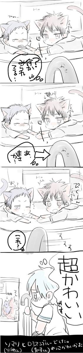 今日見た仔猫が本当にほんっとうに可愛くてお持ち帰りしたくなりました。 