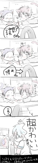 今日見た仔猫が本当にほんっとうに可愛くてお持ち帰りしたくなりました。 